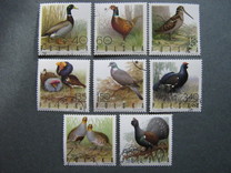 [Bird Game, type BGU]
