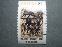 [The 150th Anniversary of Horse Riding in Sieraków, tegund CGU]