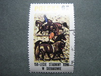 [The 150th Anniversary of Horse Riding in Sieraków, tegund CGY]