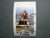 [The 150th Anniversary of Horse Riding in Sieraków, tegund CGZ]