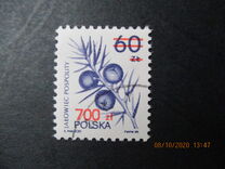 [Therapeutic Plants, Tüüp DCZ]