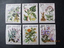 [Therapeutic Plants, type CII]