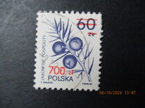[Therapeutic Plants, Tüüp DCZ]