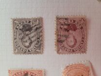 [Prince Albert, 1819-1861, type E]