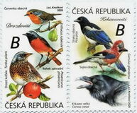 [Birds - Songbirds, type AOC]