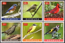 [Fauna - Backyard Birds, type AOV]
