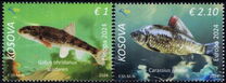[Underwater Flora and Fauna, type XB]