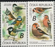 [Songbirds, type ANT]