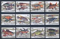 [Fish, Scrivi KX]