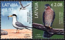 [Birds of Latvia, タイプ ALH]