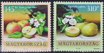 [Flora - Fruits, 类型 GXN]