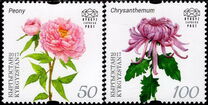[Flowers - The 19th International Botanical Congress, Shenzhen, typ AIB]