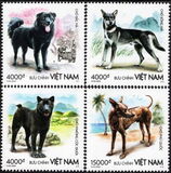 [Dog Breeds of Vietnam, Вид ELN]