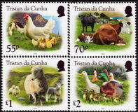 [Farm Animals, tip BBU]