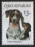 [Czech National Breeds of Dogs - Czech Spotted Dog, type AGH]