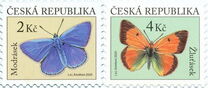 [Insects - Butterflies, 類型 AOR]