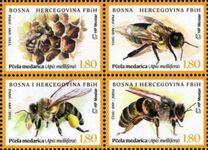 [Insects - Bees - Apis mellifera, 類型 VX]