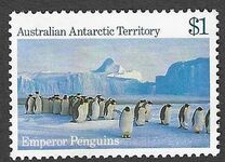 [Antarctic Scenes, typ BT]