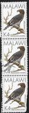 [Birds, type QH]