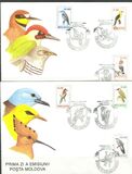 [Birds - New Values, typ AO]