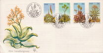 [Aloes, Typ IK]