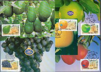 [Export Fruits, type AEP]