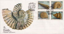 [Fossil Shellfish, type KJ]