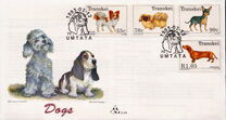 [Dogs, tipas KN]