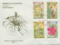 [Hibiscus Flowers and Fruits, type ABI]