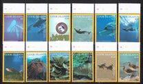 [Pacific Marine Life - Marae Moana, type AWW]