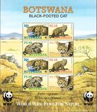[Endangered Species - Black-footed Cat, type AEH]