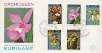 [Surinam Orchids, Tipi AGC]