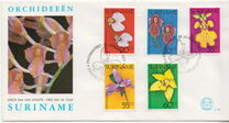 [Surinam Orchids, Typ AHN]