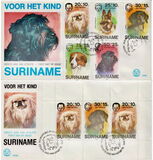 [Child Welfare - Pet Dogs, Tipi AHD]