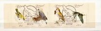 [Rare Birds, סוג BV]