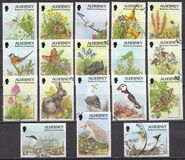 [Flora and Fauna, タイプ BY]