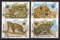 [WWF - Leopard, type ADH]