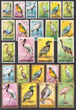 [Birds, type CW]