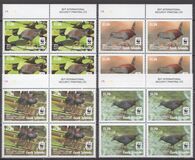 [WWF - Spotless Crake, veids ATI]