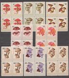 [Mushrooms, type ANP]