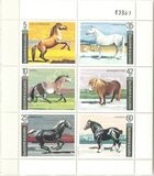 [Horses, տեսակ ELD]