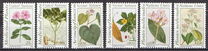 [Medical Herbs, type FC]