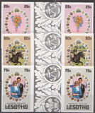 [The Royal Wedding of Prince Charles and Diana Spencer, ประเภท LK]