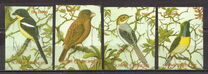 [Birds, प्रकार BCA]
