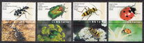 [Beetles, type AUN]