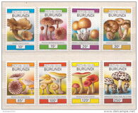 [Fungi, タイプ BBT]