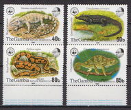 [Abuko Nature Reserve - Reptiles, type IY]