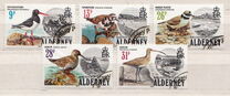[Birds, type M]