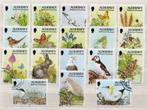 [Flora and Fauna, տեսակ BY]