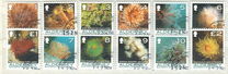 [Marine Life - Corals and Anemones, type JZ]